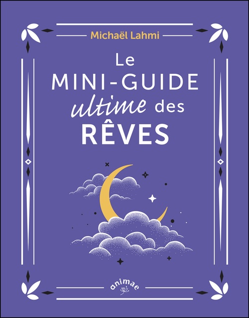 ebook cover of Le Mini-guide ultime des rêves, by Michaël Lahmi