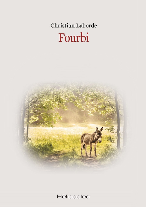 Couverture ebook de Fourbi, de Christian Laborde