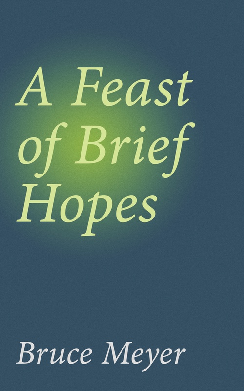 Couverture ebook de A Feast of Brief Hopes, de Bruce Meyer