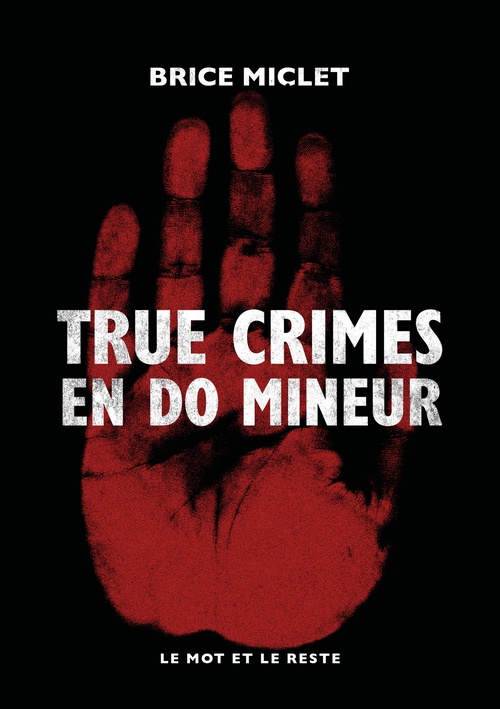 ebook cover of True crimes en do mineur, by Brice MICLET