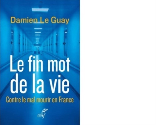Couverture ebook de LE FIN MOT DE LA VIE, de Damien Le Guay