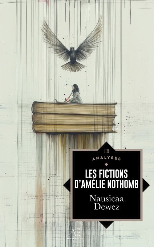 Couverture ebook de Les fictions d'Amélie Nothomb, de Nausicaa Dewez
