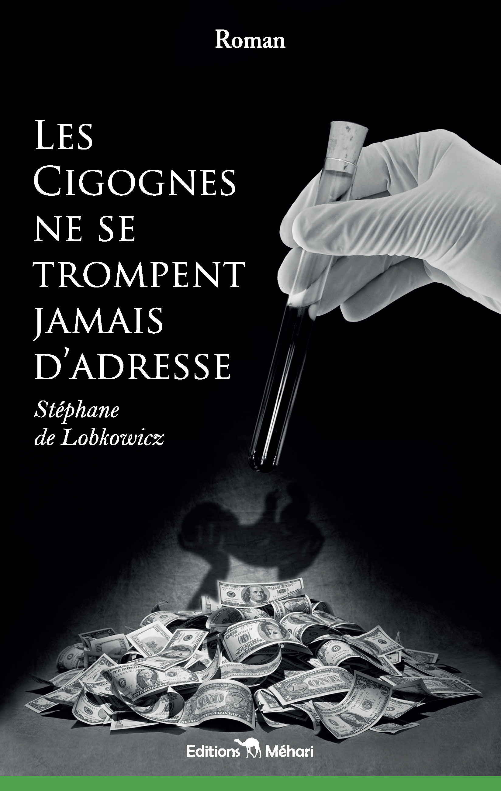 Couverture ebook de Les cigognes ne se trompent jamais d'adresse, de Stephane De Lobkowicz