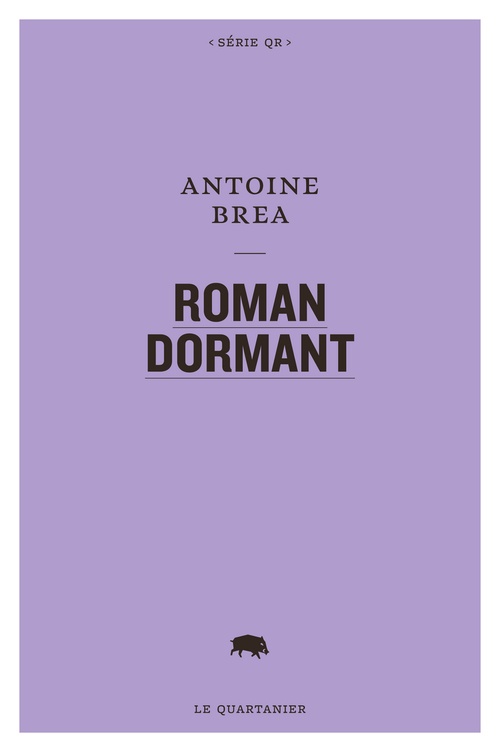 Couverture ebook de Roman Dormant, de Antoine Brea