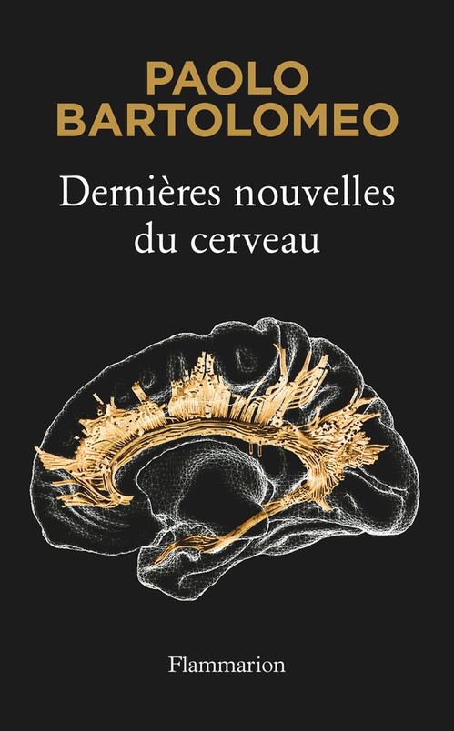 Couverture ebook de Dernières nouvelles du cerveau, de Paolo Bartolomeo