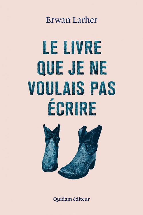 ebook cover of Le livre que je ne voulais pas écrire, by Erwan Larher