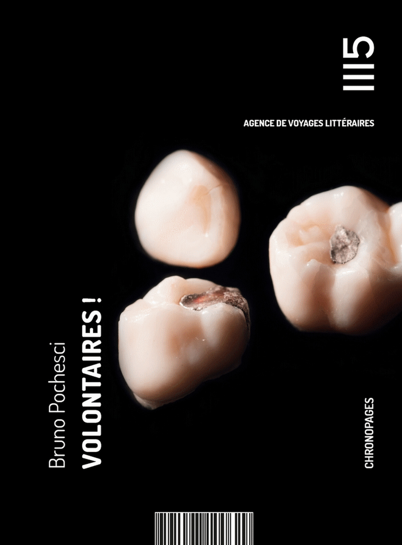 ebook cover of Volontaires !, by Pochesci Bruno