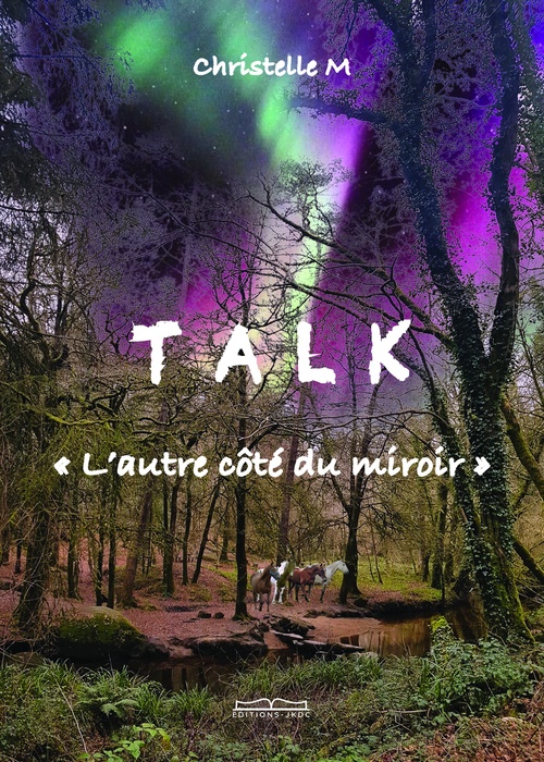 ebook cover of T A L K, by Christelle Magnier
