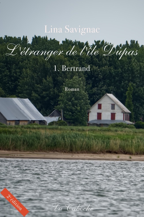ebook cover of L'étranger de l'île Dupas, Bertrand, by Lina Savignac