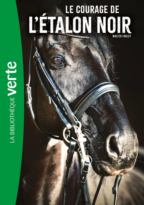 ebook cover of L'Etalon Noir NED 13 -, by Walter Farley