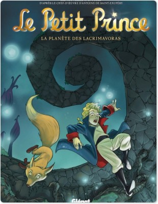 ebook cover of Le Petit Prince - Tome 13, by Diane Fayolle, Audrey Bussi