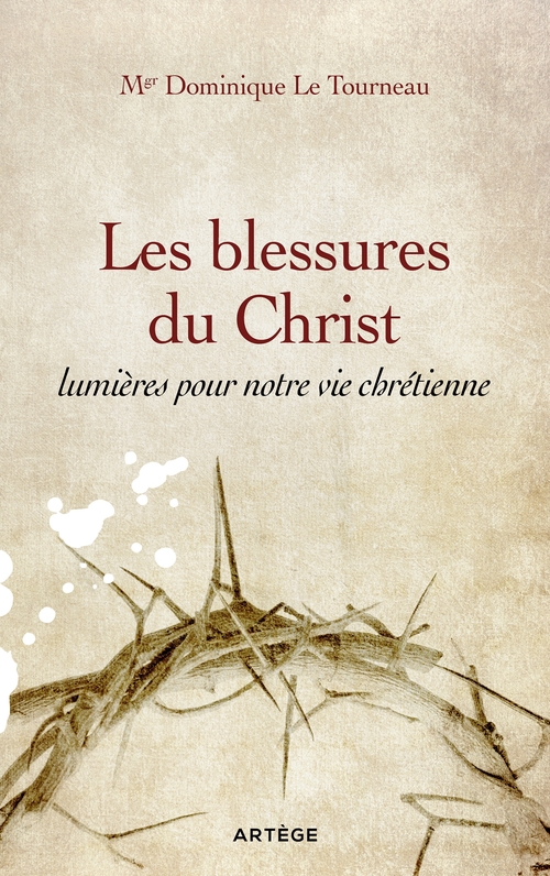 ebook cover of Les blessures du Christ, lumières pour notre vie chrétienne, by Mgr Dominique Le Tourneau