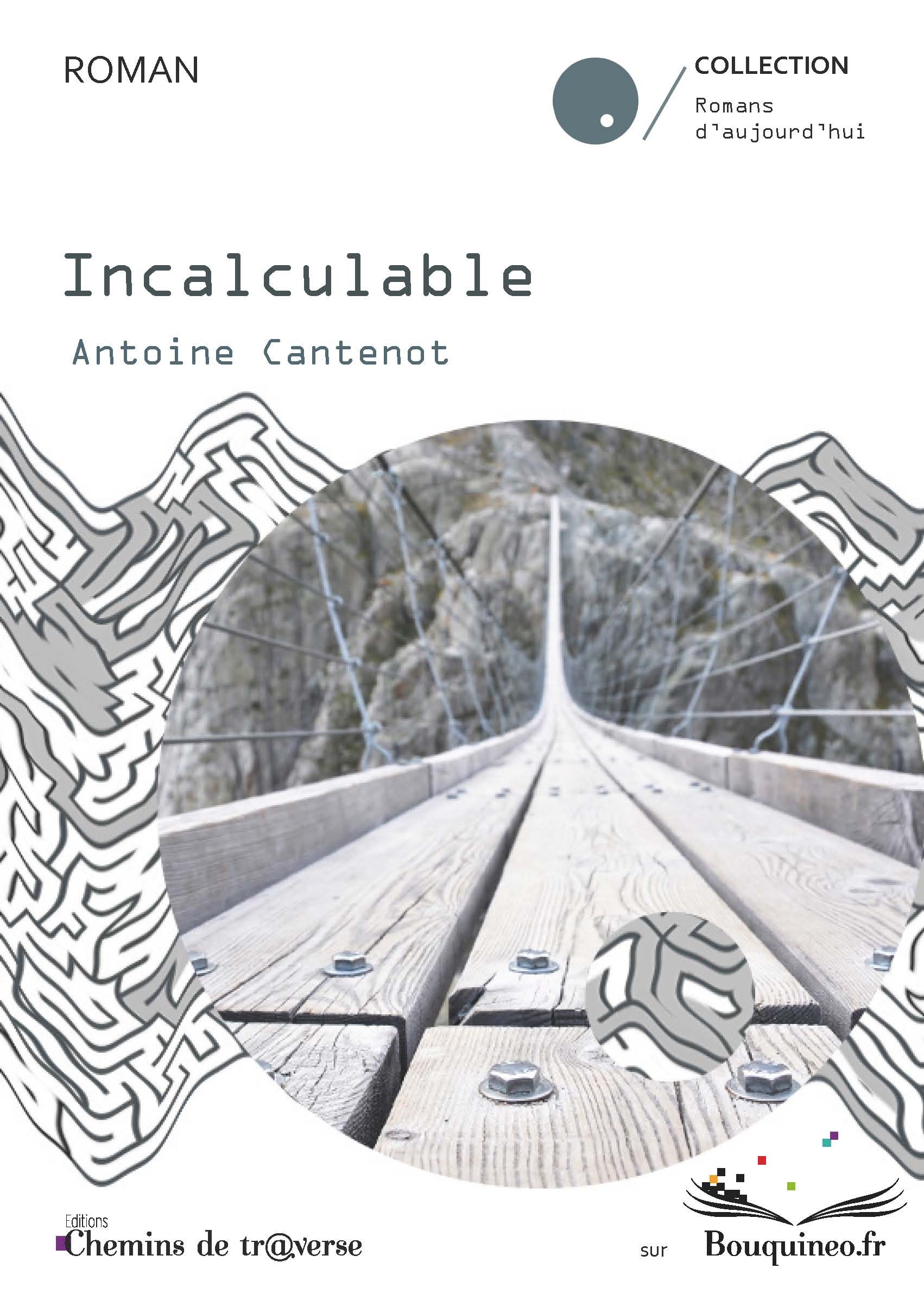 ebook cover of Incalculable, by Antoine Cantenot