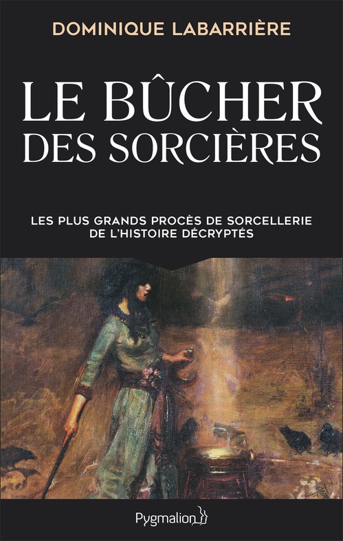 Couverture ebook de Le Bûcher des sorcières, de Dominique Labarrière