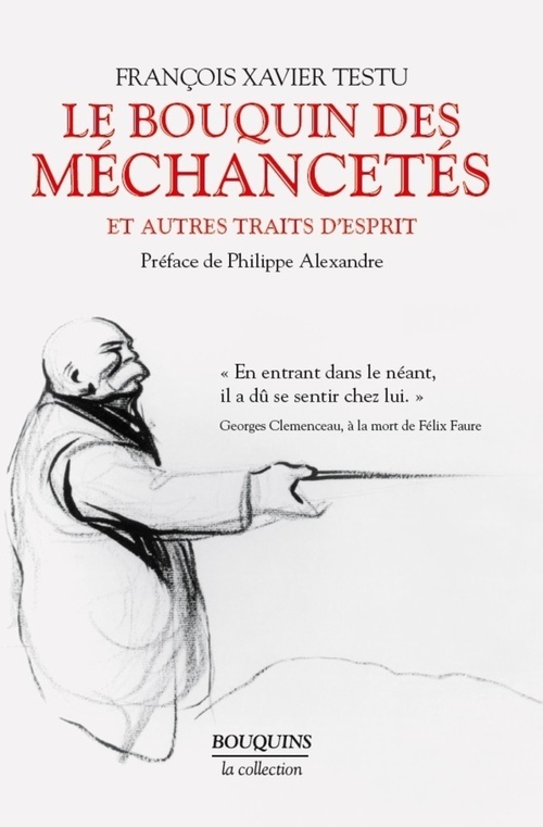 ebook cover of Le bouquin des méchancetés, by François Xavier Testu