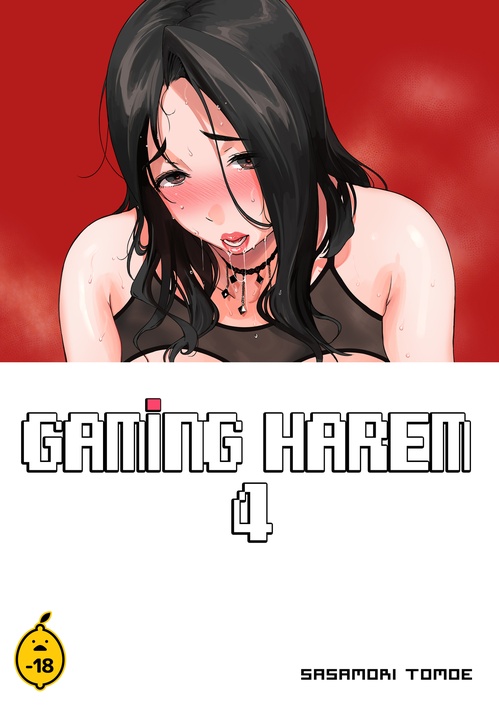 ebook cover of GAMING HAREM - Tome 4, by Sasamori Tomoe
