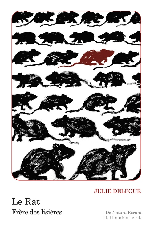 Couverture ebook de Le Rat, de Julie Delfour