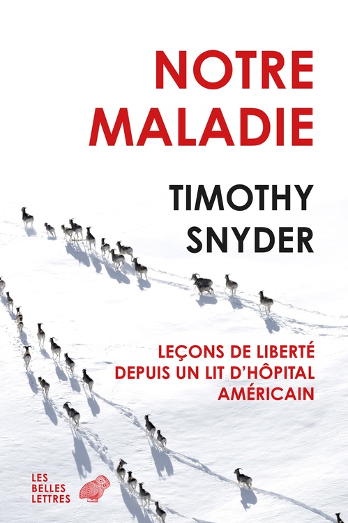ebook cover of Notre Maladie, by Timothy Snyder