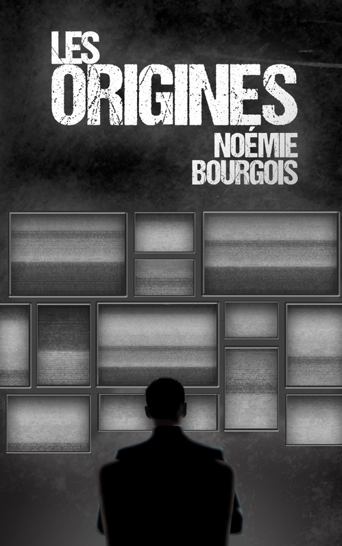 ebook cover of Les Origines, by Noémie Bourgois