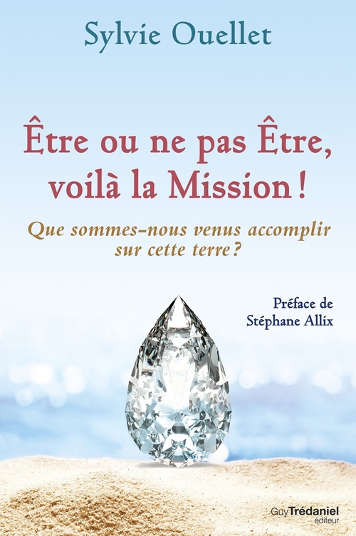 ebook cover of Être ou ne pas être, voilà la mission ! - Que sommes-nous venus accomplir sur cette terre ?, by Sylvie Ouellet
