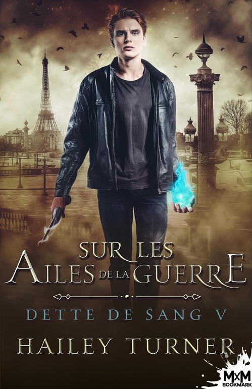 Couverture ebook de Sur les ailes de la guerre, de Hailey Turner