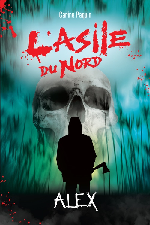 ebook cover of Alex, by Carine Paquin