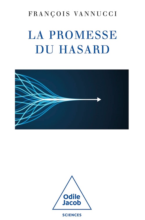 ebook cover of La Promesse du hasard, by François Vannucci