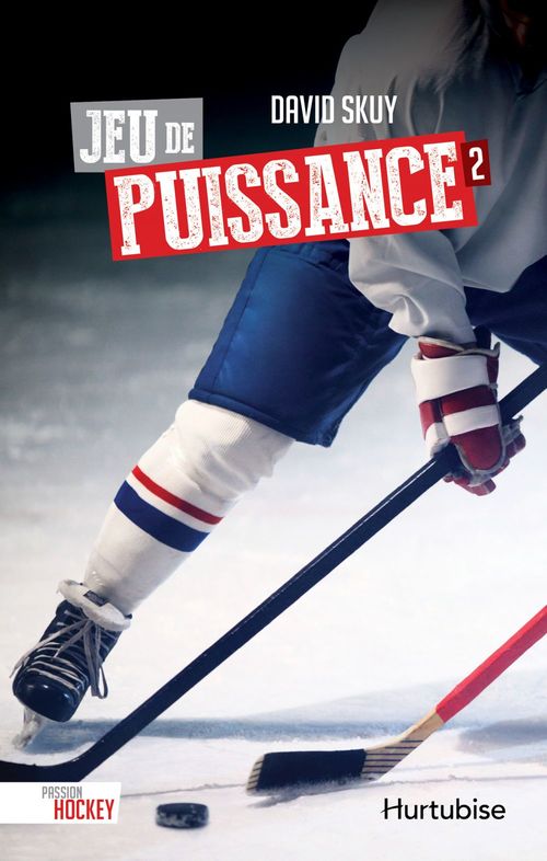 Couverture ebook de Jeu de puissance, de Skuy David