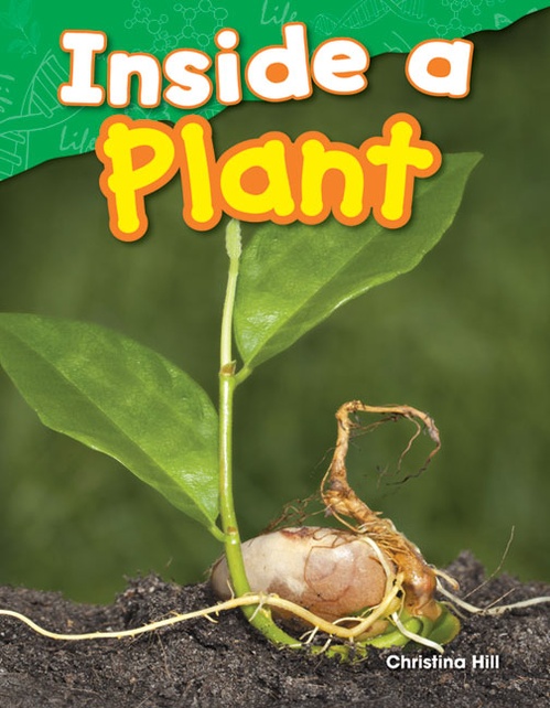 Couverture ebook de Inside a Plant, de Christina Hill
