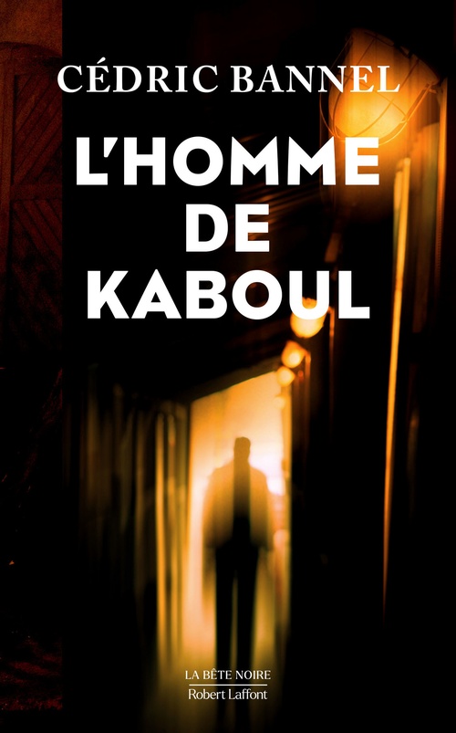 ebook cover of L'homme de Kaboul, by Cédric Bannel