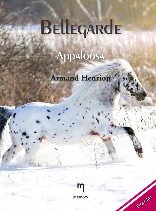 Couverture ebook de Appaloosa, de Armand Henrion