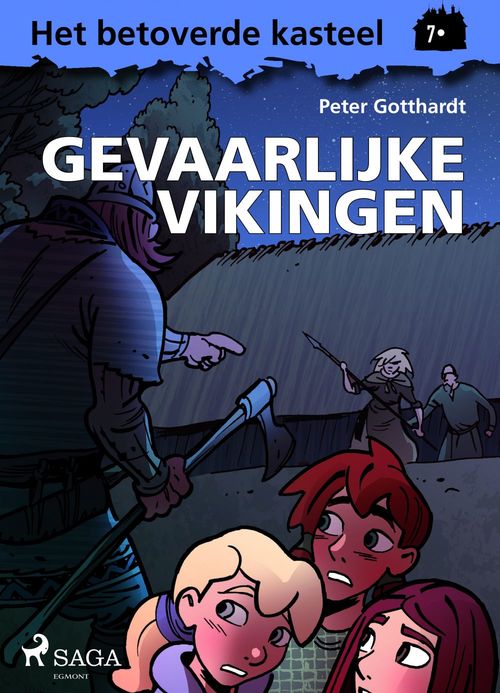 ebook cover of Het betoverde kasteel 7 - Gevaarlijke vikingen, by Peter Gotthardt