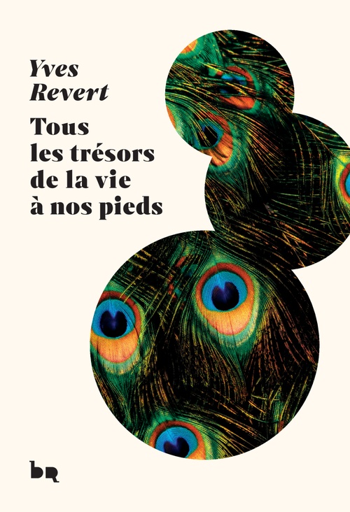 Couverture ebook de Tous les trésors de la vie à nos pieds, de Yves Revert