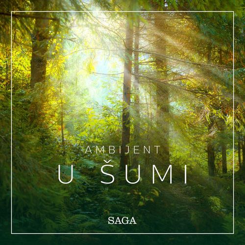 Couverture audiobook de Ambijent - U sumi, de Rasmus Broe