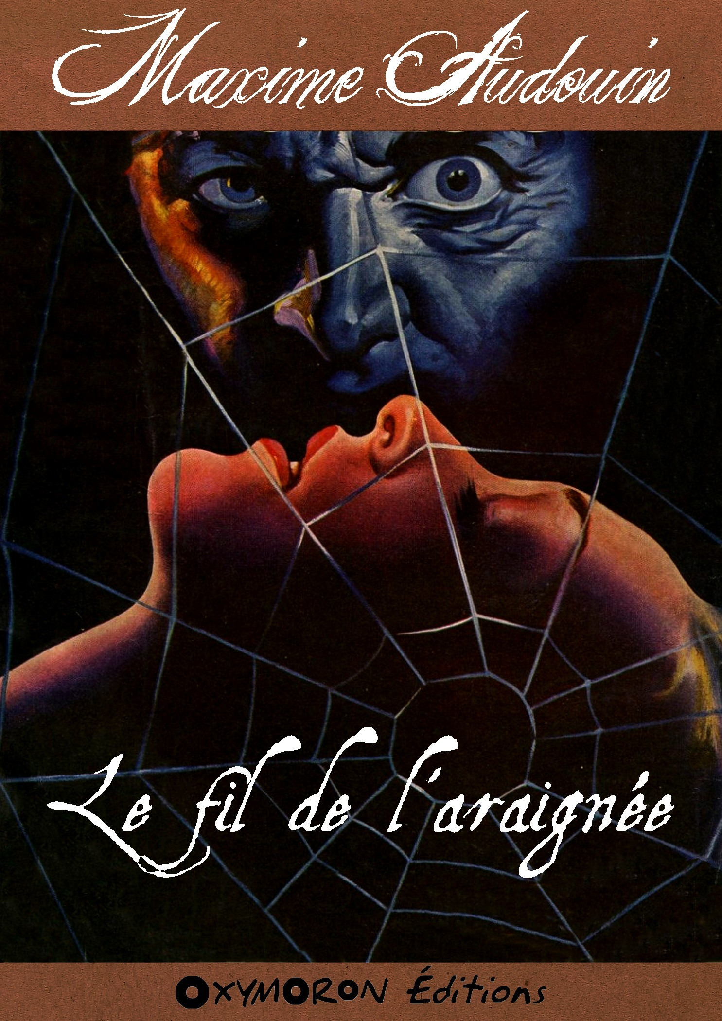 ebook cover of Le fil de l'araignée, by Maxime Audouin