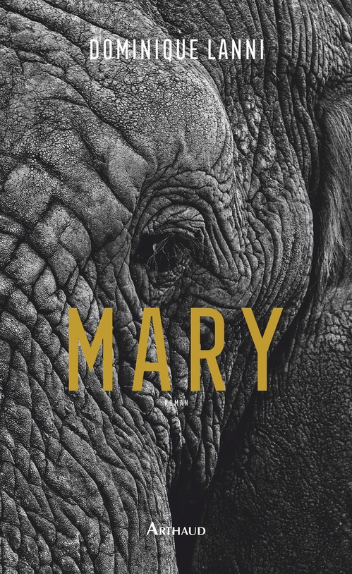 Couverture ebook de Mary, de Dominique Lanni
