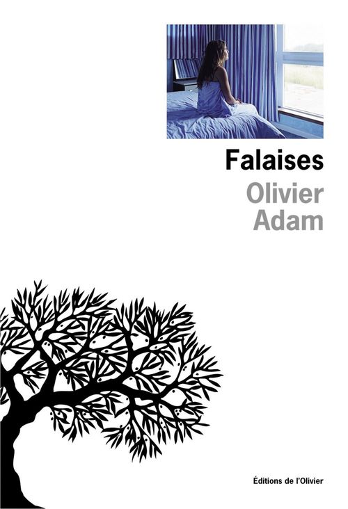 Couverture ebook de Falaises, de Olivier Adam