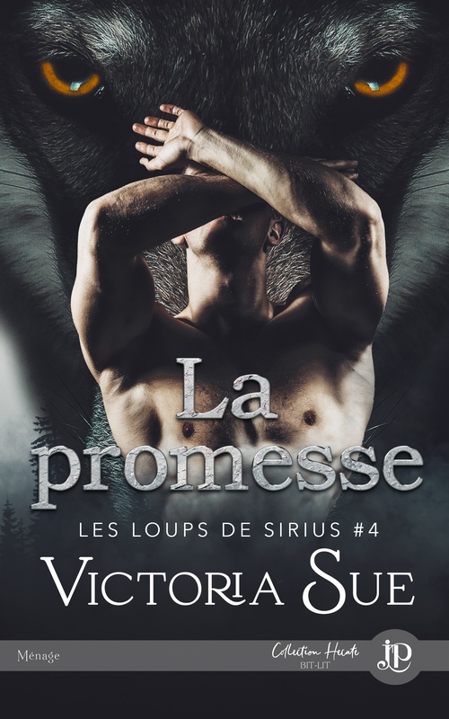 ebook cover of La promesse, by Victoria Sue