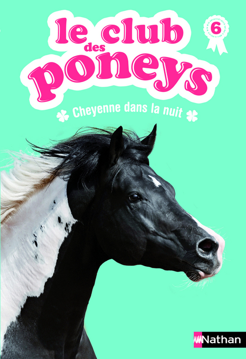 ebook cover of Le club des poneys t6: cheyenne dans la nuit, by Sylvie Baussier