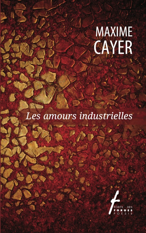 Couverture ebook de Les amours industrielles, de Maxime Cayer