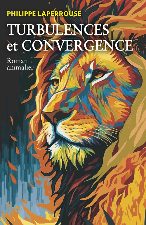 Couverture ebook de Turbulences et convergence, de Philippe Laperrouse