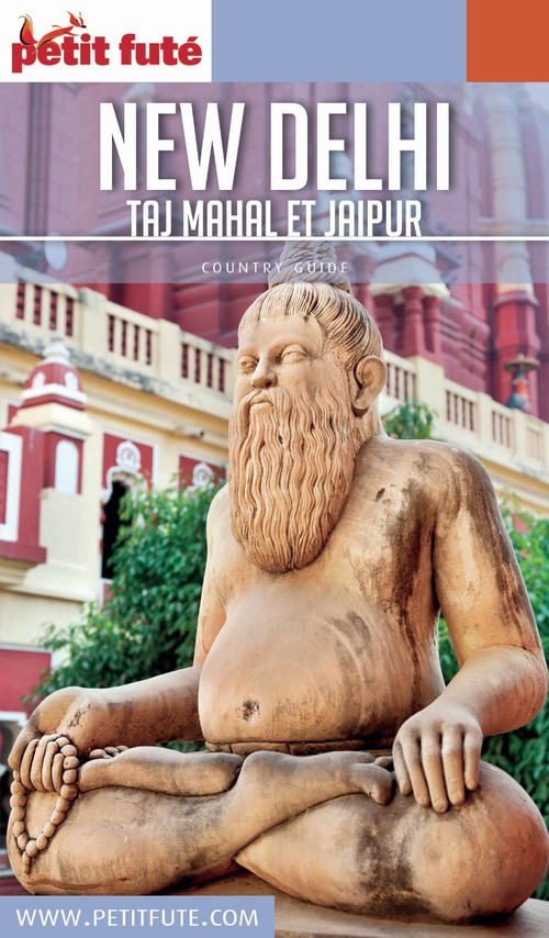 ebook cover of NEW DELHI 2017 Petit Futé, by Collectif petit futé