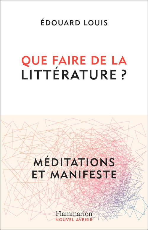 ebook cover of Que faire de la littérature ?, by Édouard Louis
