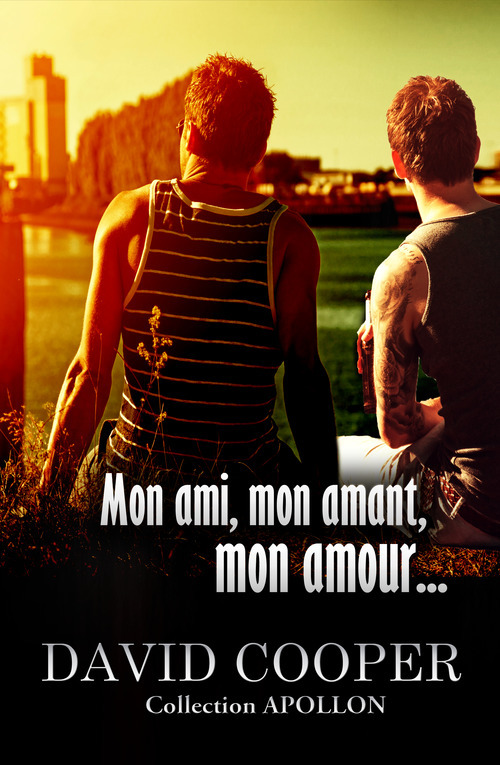 ebook cover of Mon ami, mon amant, mon amour, by David Cooper