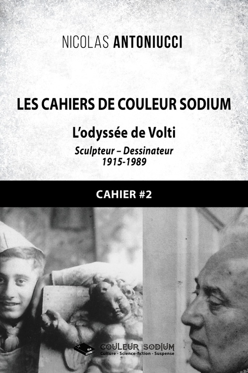 ebook cover of Les Cahiers de Couleur Sodium, by Nicolas Antoniucci
