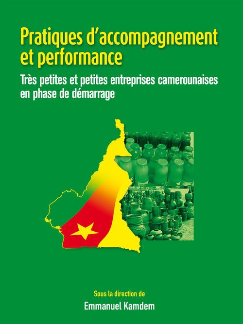 ebook cover of Pratiques d'accompagnement et performance, by Emmanuel Kamdem