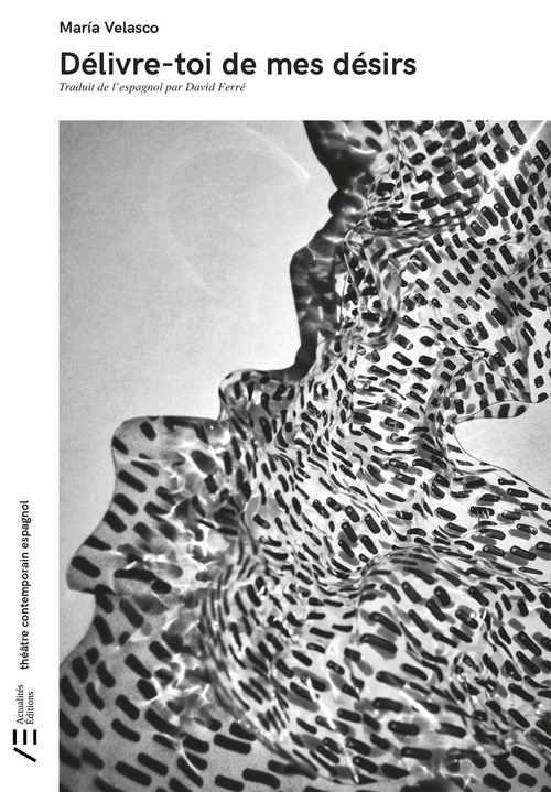 ebook cover of Délivre-toi de mes désirs, by Maria Velasco