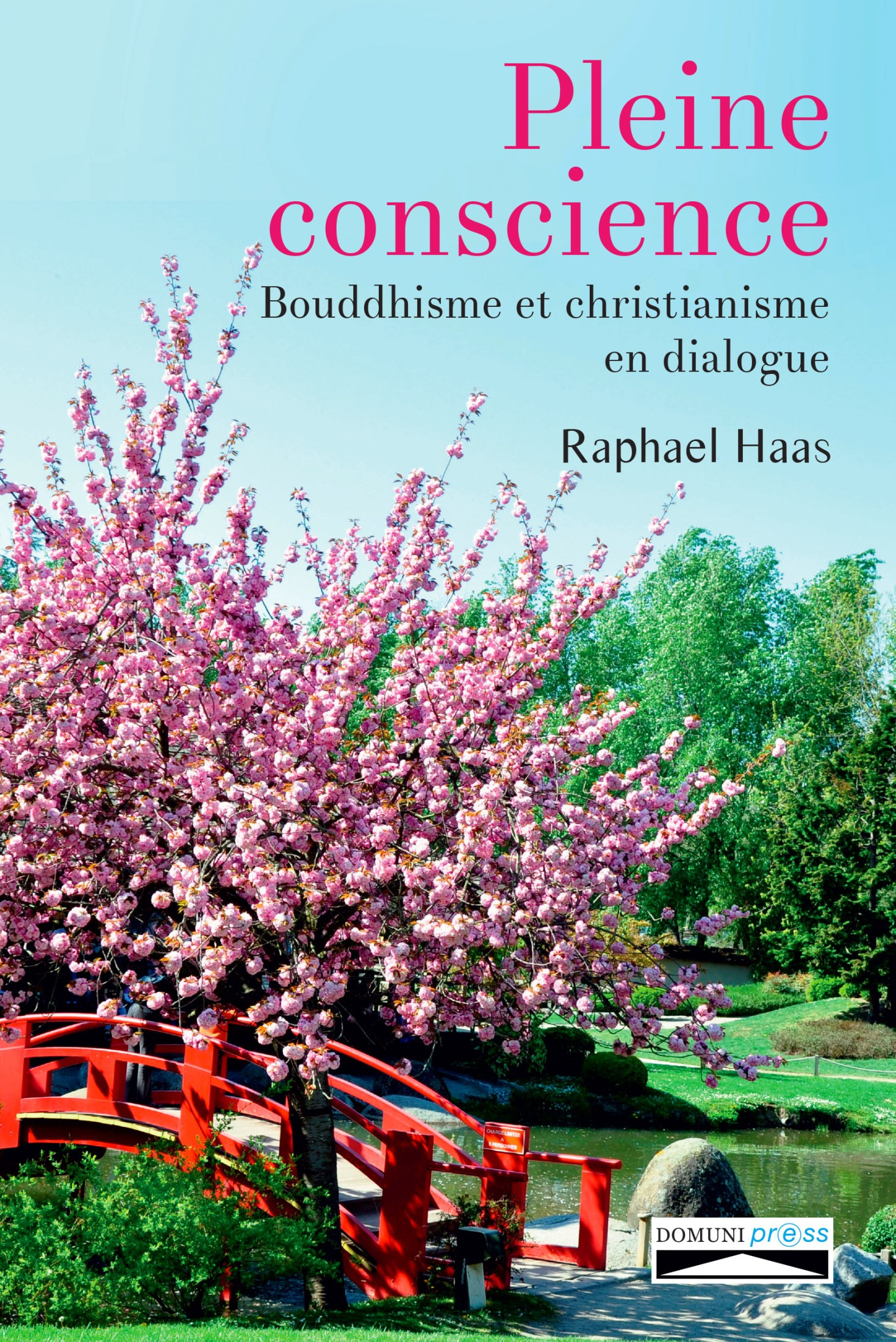 ebook cover of Pleine Conscience, by Raphaël Haas