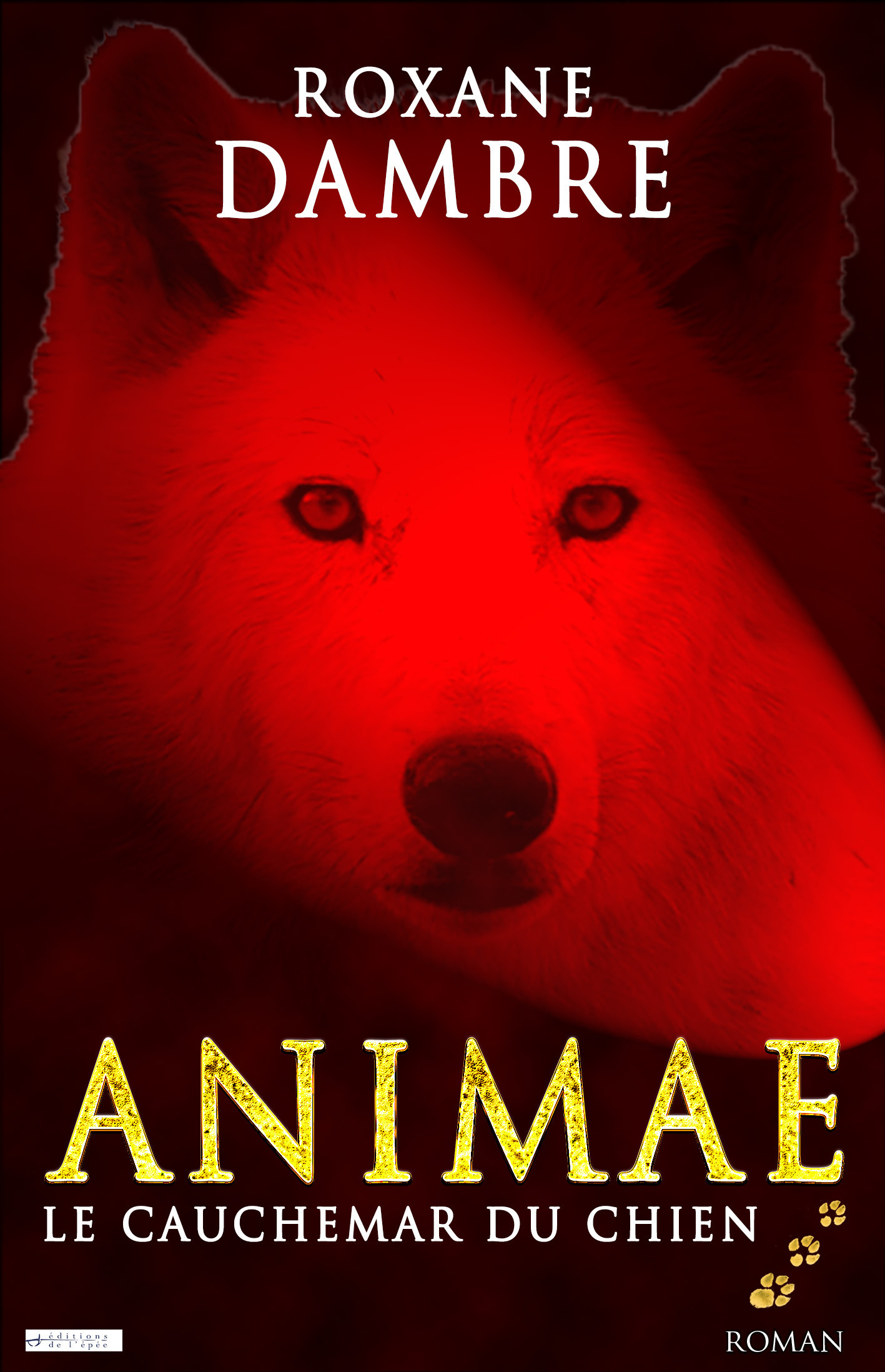 ebook cover of Animae tome 3, by Roxane Dambre