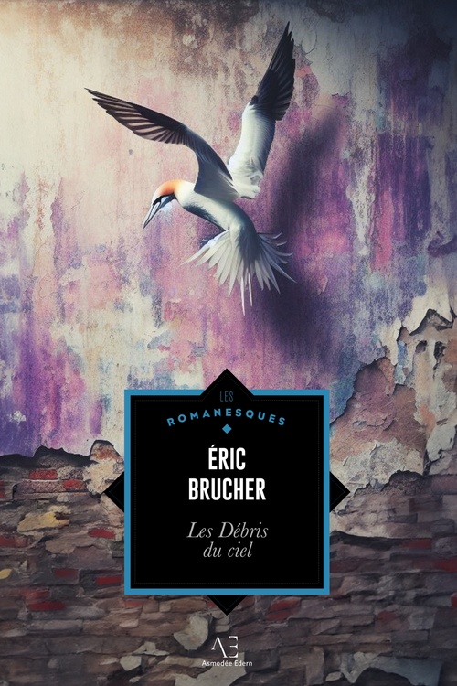 ebook cover of Les débris du ciel, by Éric Brucher